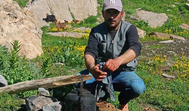 Yaylada kalp krizi geçiren çoban hayatını kaybetti