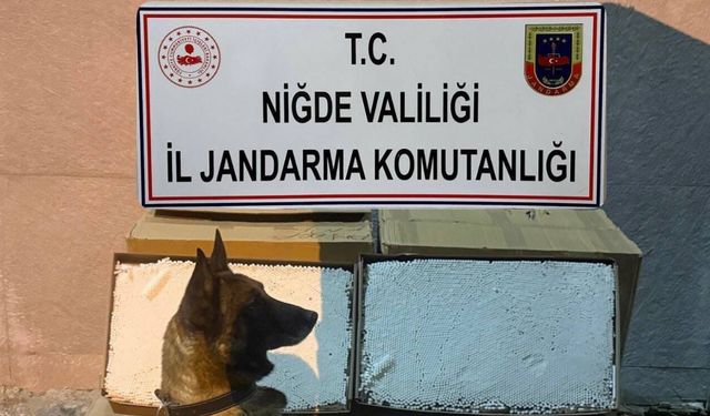 Yolcu otobüsünde 100 bin adet kaçak makaron ele geçirildi