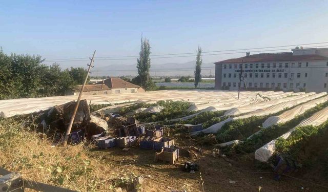 Yoldan çıkıp üzüm bağına uçan tırın şoförü hayatını kaybetti