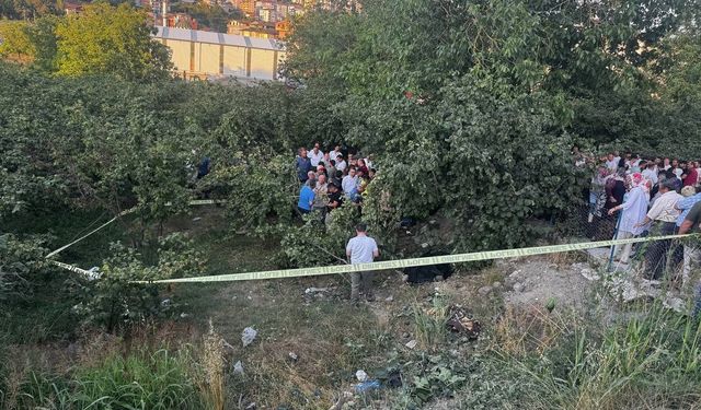 Zonguldak’ta kamyonet fındık bahçesine uçtu: Araçtan fırlayan sürücü öldü
