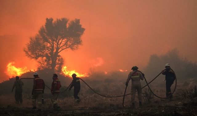 Ödemiş'ten acı haber: Orman işçisi yaşamını yitirdi