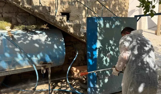 O ilde akrepler her yeri sardı! Vatandaşlar diken üstünde