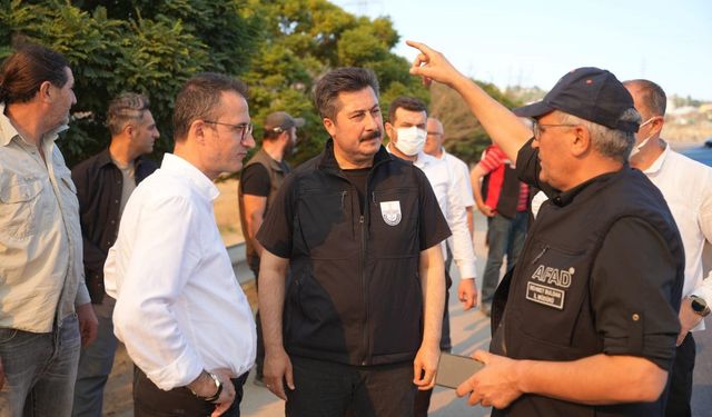 Yenişehir’de 100 hektarlık alan küle döndü