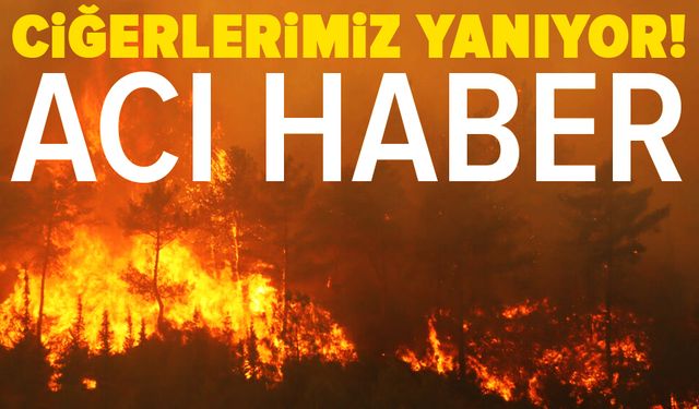Yangına müdahale eden arazöz devrildi: 1 şehit