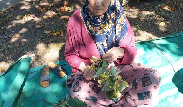 81 yaşındaki kadın her yerde aranıyor