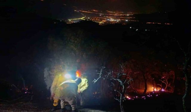 Aydın - Denizli sınırında çıkan orman yangını kontrol altına alındı