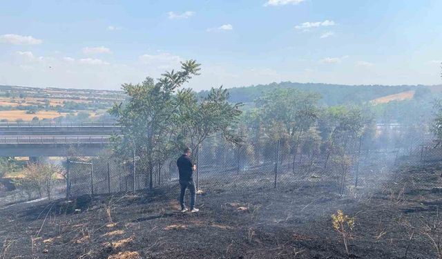 Babaeski’de ağaçlık alanda çıkan yangın söndürüldü