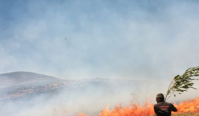 Bahçesaray’da arazi yangını