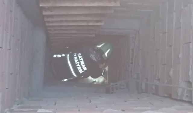 Batman Sanayi Sitesi’nde iş yerinin hava boşluğunda mahsur kalan kedi kurtarıldı