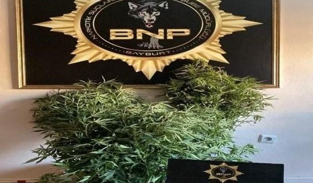 Bayburt’ta birçok adrese eş zamanlı narkotik operasyonu yapıldı