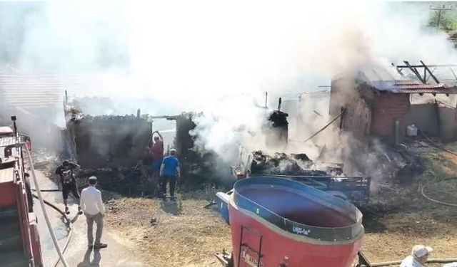 Bilecik’te çıkan samanlık yangını, 1 yaralı
