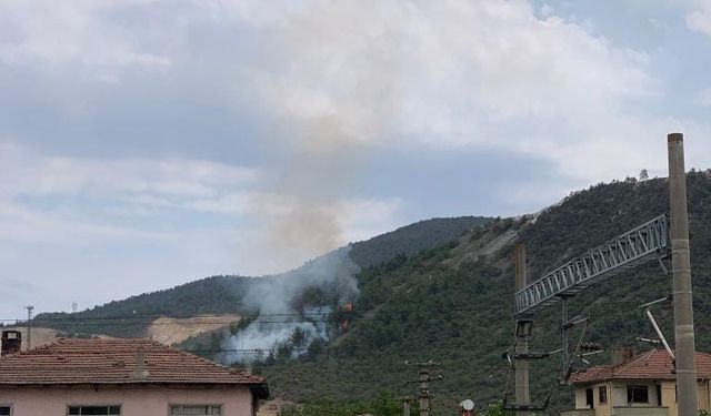Bilecik’te orman yangını