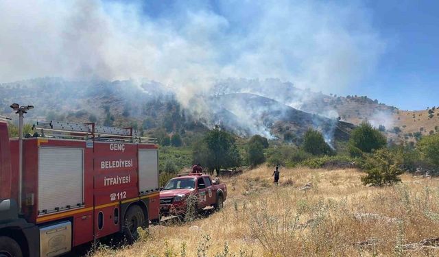 Bingöl’de köyde çıkan yangın ormana sıçradı, müdahale sürüyor