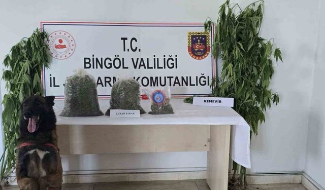 Bingöl’de uyuşturucuyla mücadele