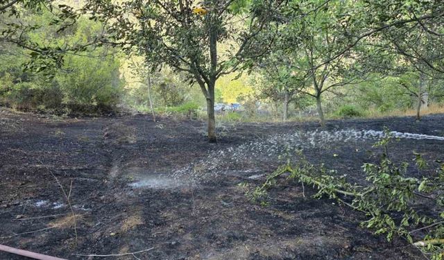 Bolu’da otluk alanda çıkan yangın ormana sıçramadan söndürüldü