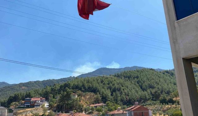 Buldan’da ormanlık alanda yangın çıktı