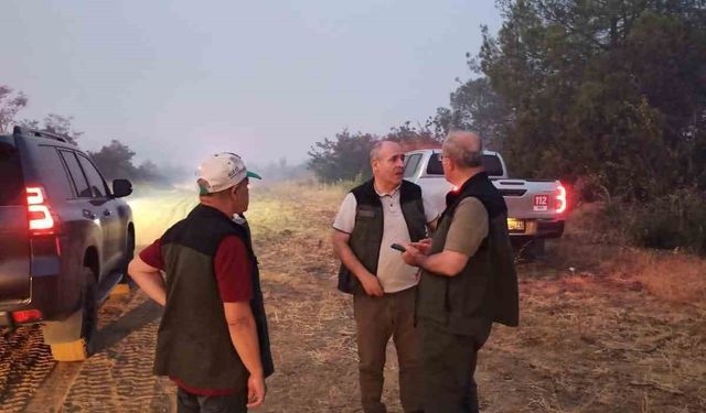 Çanakkale Valisi Toraman yangından etkilenen köyde incelemelerde bulundu