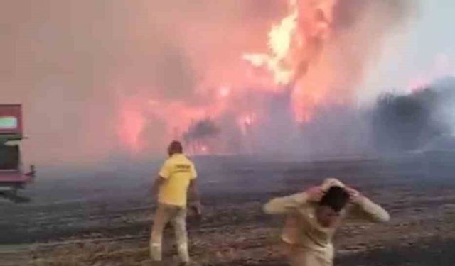Çanakkale’de alev savaşçılarının zorlu mücadelesi kamerada