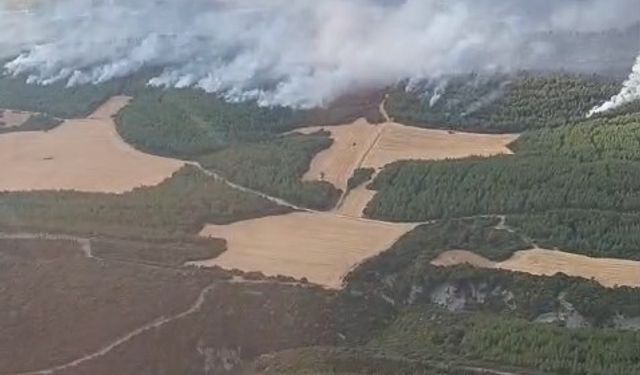 Çanakkale’de devam eden orman yangınına havadan ve karadan yoğun müdahale devam ediyor