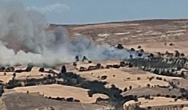 Çanakkale’de tarım arazisinde yangın
