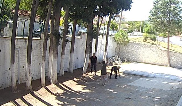Belediye Başkanı taş döşemek istemeyen zabıtaları sopayla dövdü