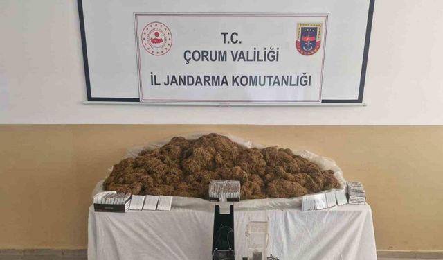 Çorum’da binlerce makaran ele geçirildi