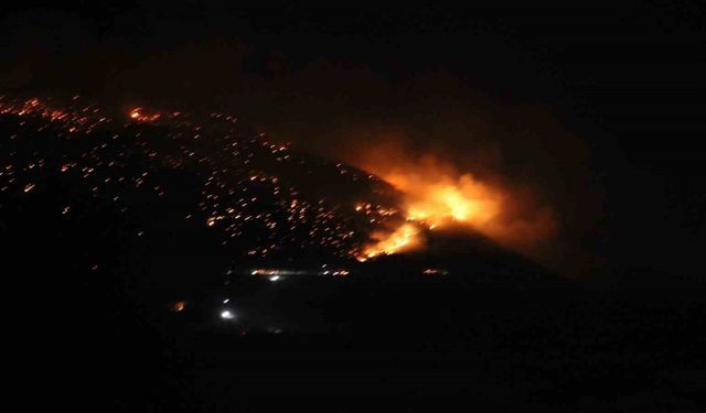 Denizli’de orman yangınına gece karadan müdahale sürüyor