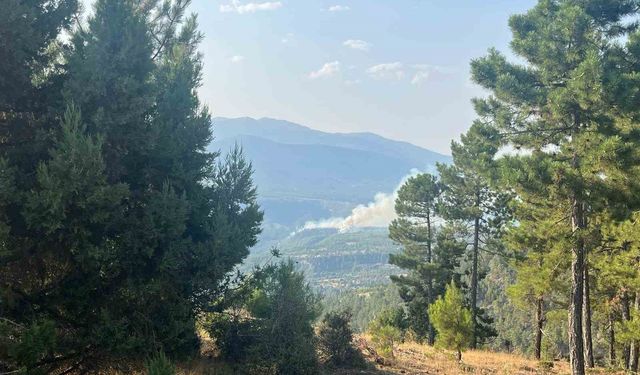 Denizli’de sarp bölgede devam eden yangına müdahale ediliyor