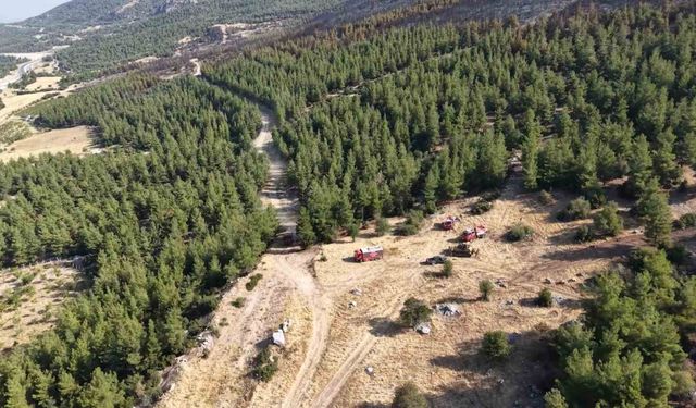 Denizli’de yanan orman sahası havadan görüntülendi