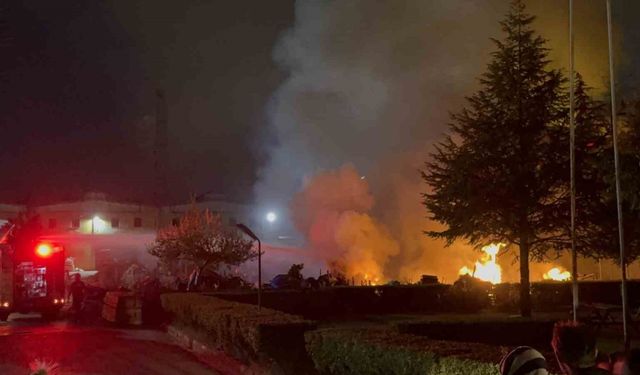 Düzce’de ahşap fabrikasının bahçesinde yangın
