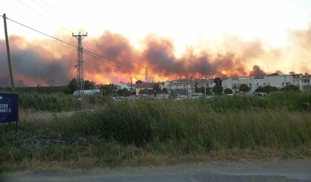 Edirne’de tarlada çıkan yangın ormanlık alana doğru ilerliyor