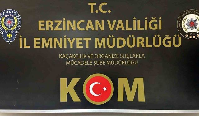 Erzincan’da 101 adet mermi ele geçirildi
