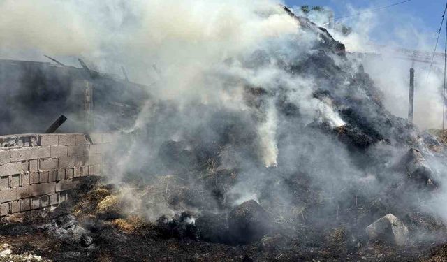 Erzincan’da samanlık ve ahır yandı