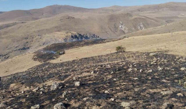 Erzurum’da korkutan ot yangını
