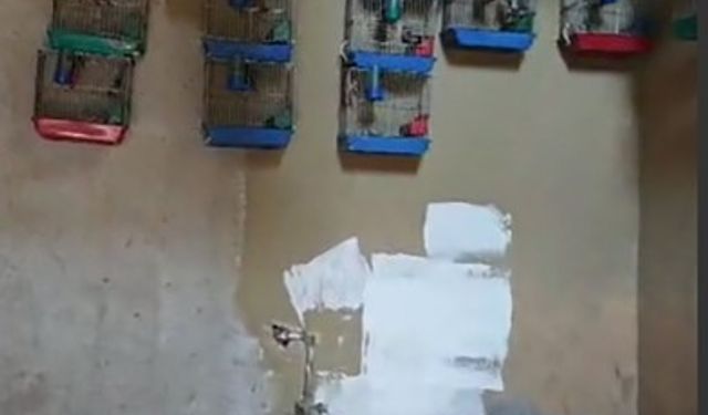 Evinde saka kuşu bulunan şahsa 151 bin 200 lira para cezası
