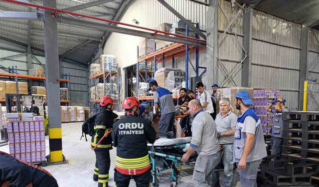 Fabrikada palet makinesine sıkışan işçi ağır yaralandı