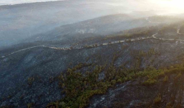 Gelibolu’da büyük ölçüde kontrol altına alınan orman yangınında yanan yerler dronla görüntülendi