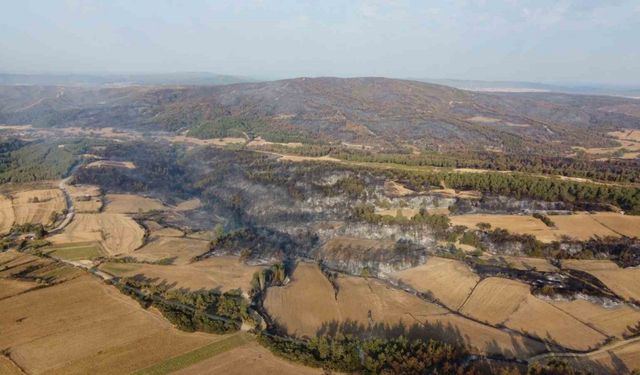 Gelibolu’da çıkan orman yangınının verdiği tahribat dron ile görüntülendi