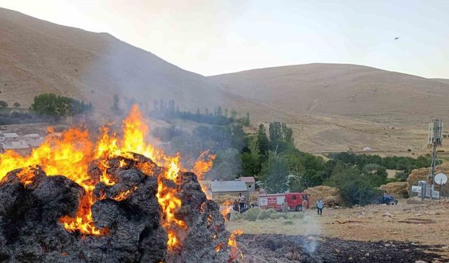 Gevaş’ta ot yangını