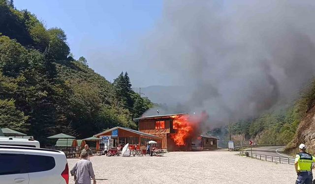 Giresun’un gözde tabiat parkında yangın felaketi