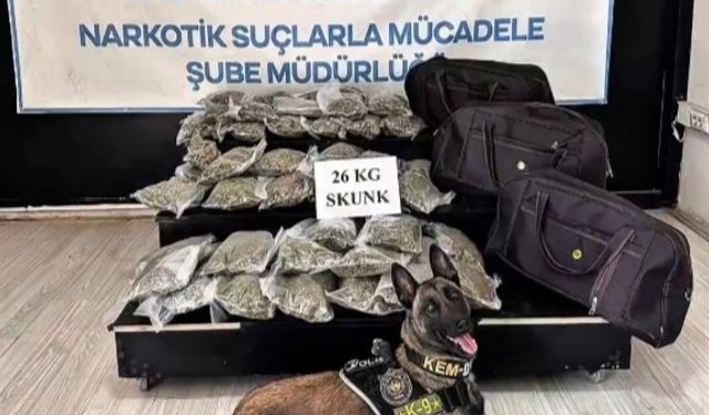 Hakkâri’de kamyonette 26 kilogram skunk ele geçirildi: 1 şüpheli tutuklandı