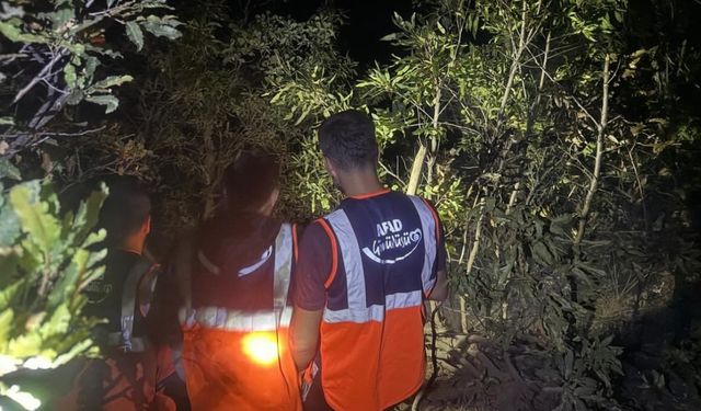 Hakkari’de orman yangını