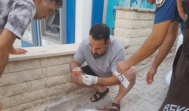 Hamile köpeğe tüfekle saldırı