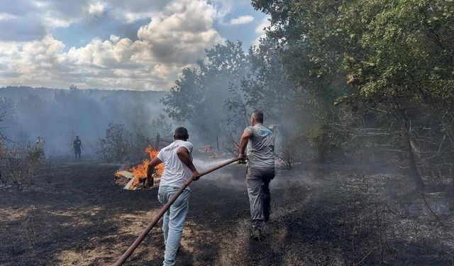 İğneada’da çıkan orman yangını söndürüldü