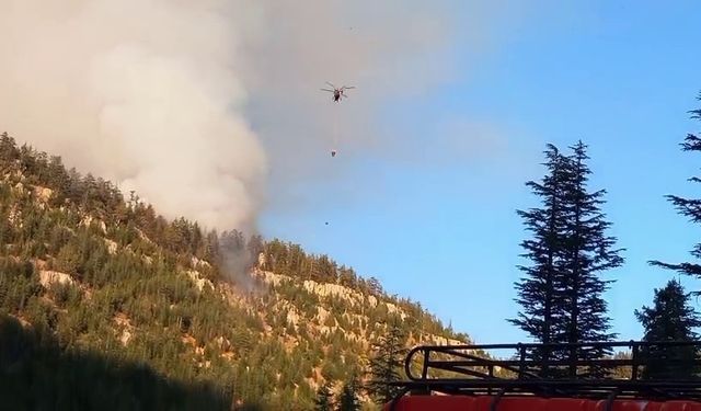 Karaman Valiliği: "Orman yangınına 137 personel ve 3 helikopterle müdahale ediliyor"