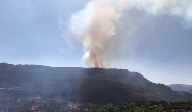 Karaman’da çıkan orman yangınına havadan ve karadan müdahale ediliyor