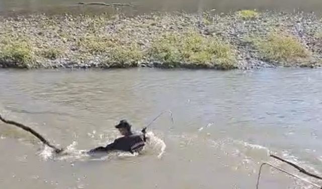 Karasu nehrine kapılan yolcuyu arama çalışmalarına devam ediliyor
