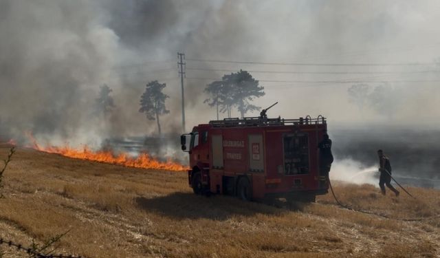 Kırlareli’nde çıkan anız yangında 3 ev zarar gördü
