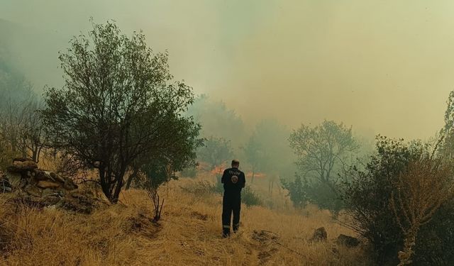 Konya’da otluk alandaki yangın ormana sıçramadan söndürüldü