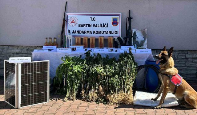 Kurucaşile’deki uyuşturucu operasyonunda 1 kişi tutuklandı